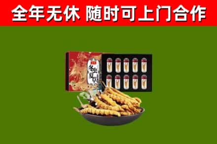 翼城县回收冬虫夏草价格